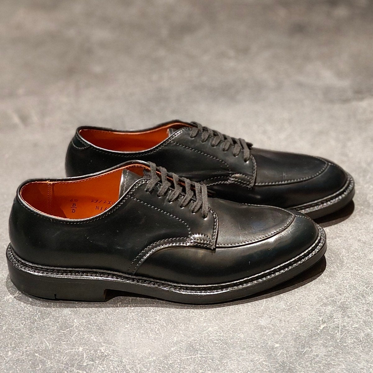 希少 新品未使用【ALDEN】オールデン ワイルドライフテーラー別注 N1609 Vチップ コードバン ブラック サイズ US6.5D バリーラスト