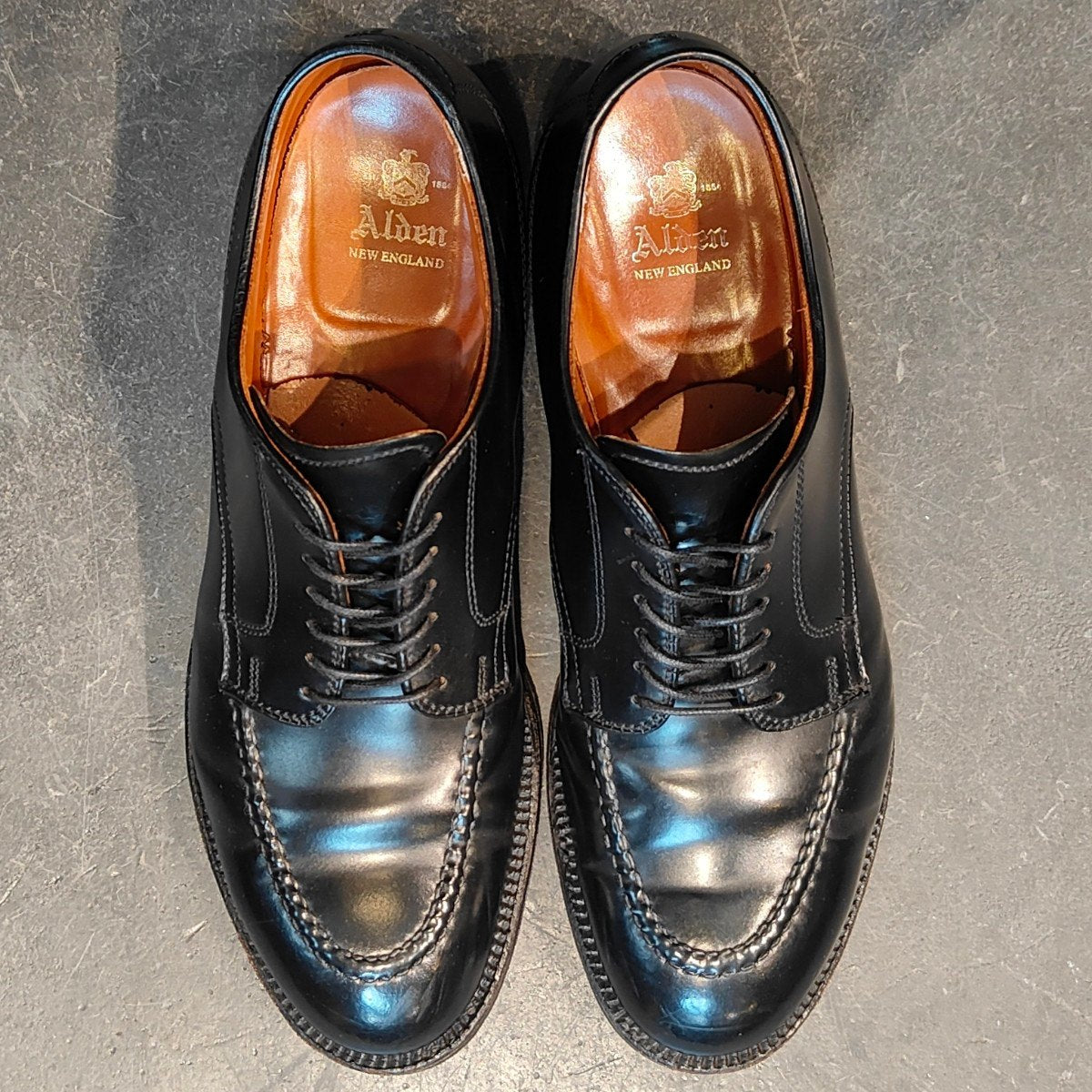 美品 【ALDEN】オールデン 54039 モックトゥ コードバン ブラック サイズUS8D モディファイドラスト