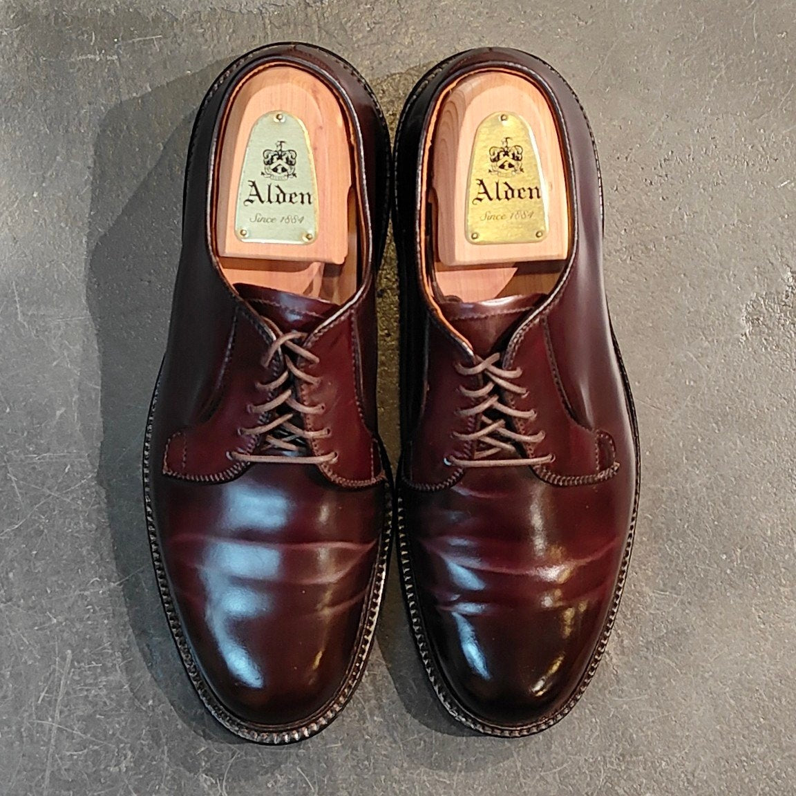 使用数回 【ALDEN】オールデン 990 プレーントゥ コードバン ダークバーガンディ サイズ US6E バリーラスト 定価 ¥211,200-