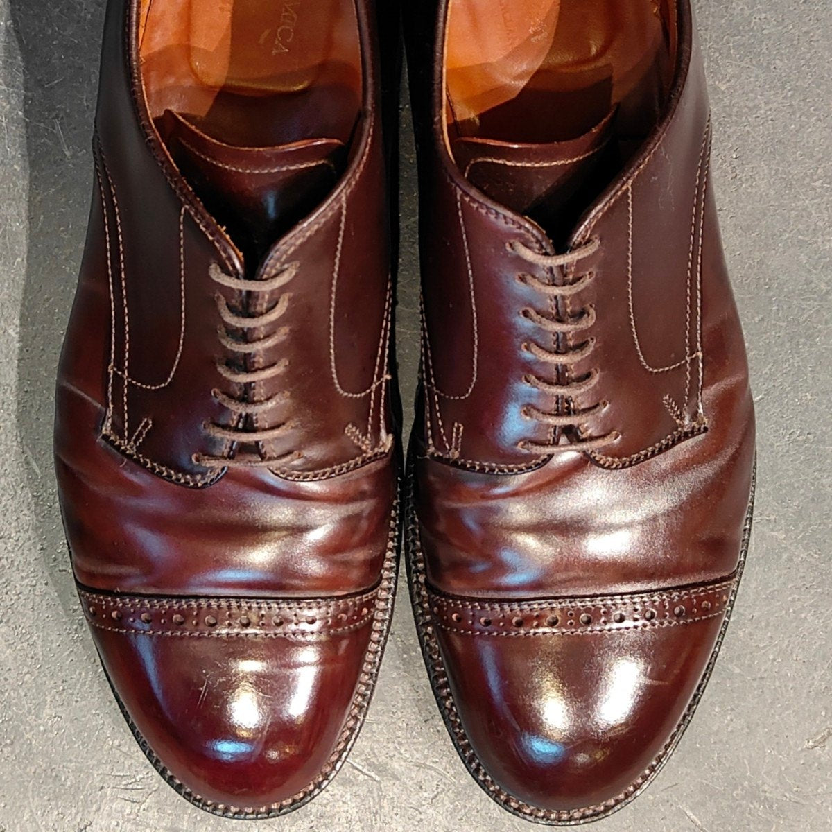 【ALDEN】オールデン アナトミカ別注 56259 パンチドキャップトゥ コードバン ダークバーガンディ サイズUS8.5D モディファイドラスト