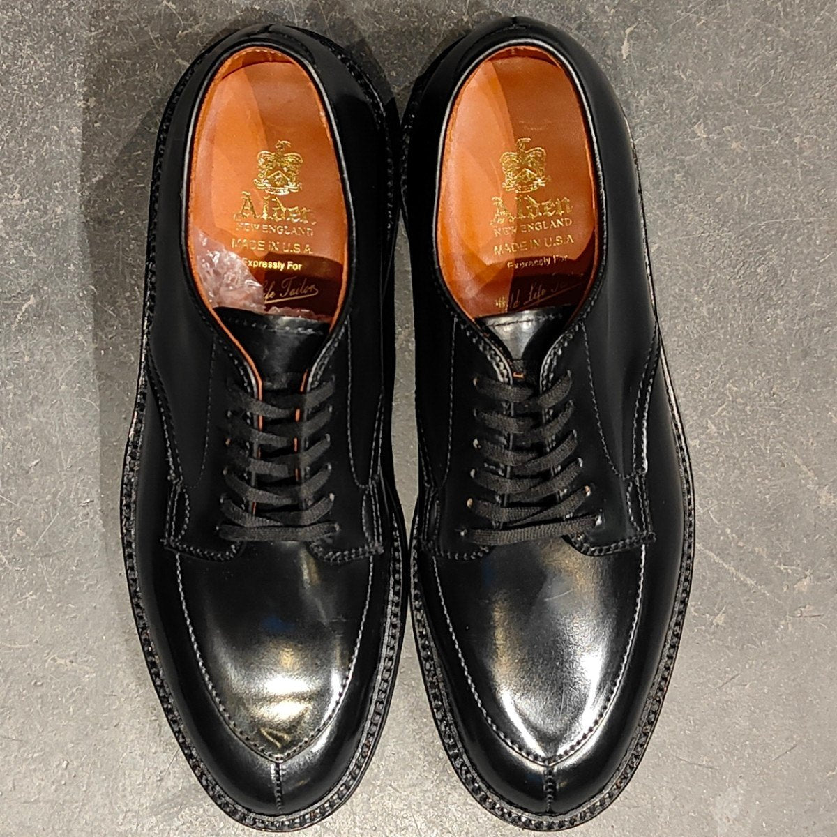 希少 新品未使用【ALDEN】オールデン ワイルドライフテーラー別注 N1609 Vチップ コードバン ブラック サイズ US6.5D バリーラスト