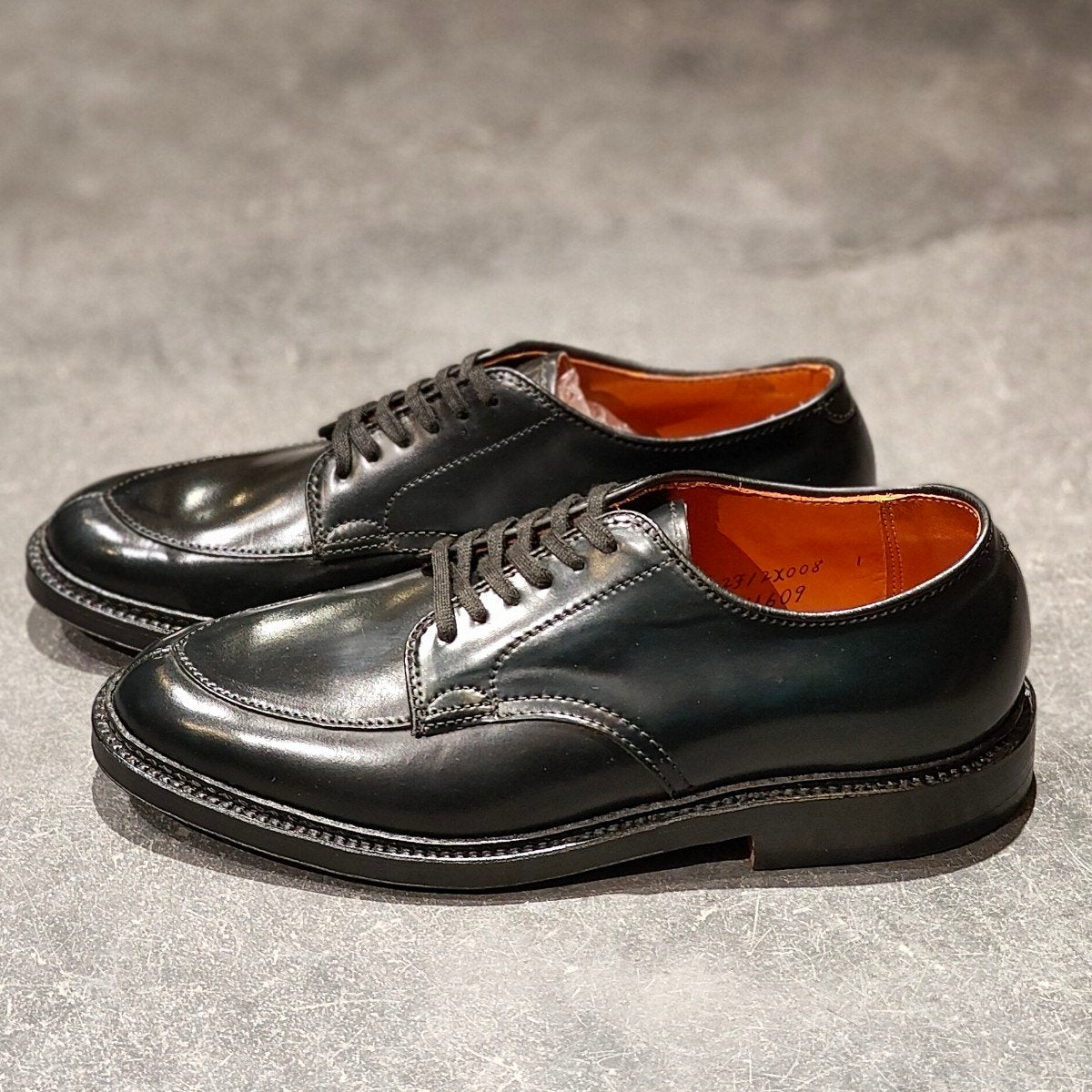 希少 新品未使用【ALDEN】オールデン ワイルドライフテーラー別注 N1609 Vチップ コードバン ブラック サイズ US6.5D バリーラスト