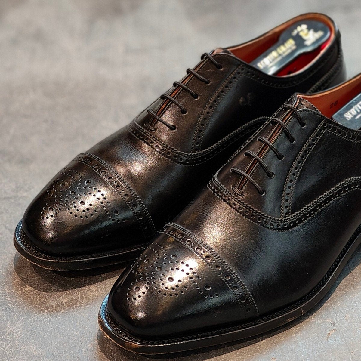使用数回 【SCOTCH GRAIN】スコッチグレイン 3520 アシュランス セミブローグ カーフ ブラック サイズ 26.0EEE 参考定価¥39,600-