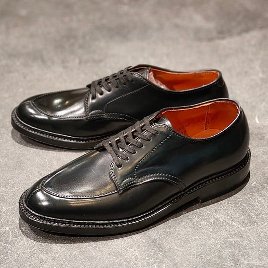 希少 新品未使用【ALDEN】オールデン ワイルドライフテーラー別注 N1609 Vチップ コードバン ブラック サイズ US6.5D バリーラスト