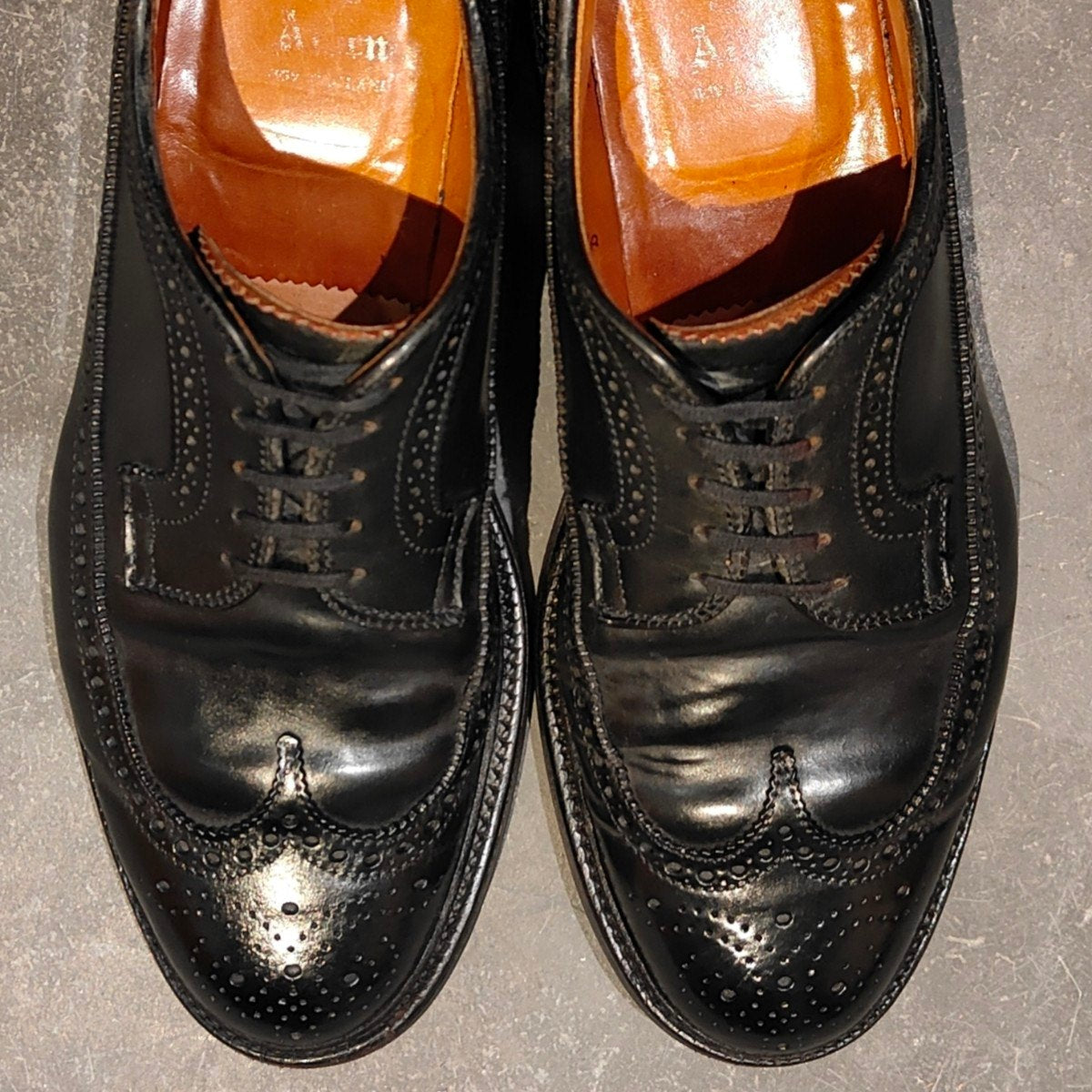 【ALDEN】オールデン 9751 LWB コードバン ブラック サイズ US8.5D バリーラスト 参考定価￥223,300-