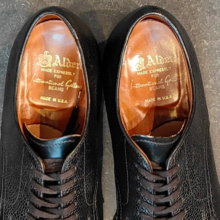 希少 美品【ALDEN】オールデンインターナショナルギャラリービームス別注 N6602 Vチップ コードバンアルパインカーフコンビ サイズ US7.5D モディファイドラスト