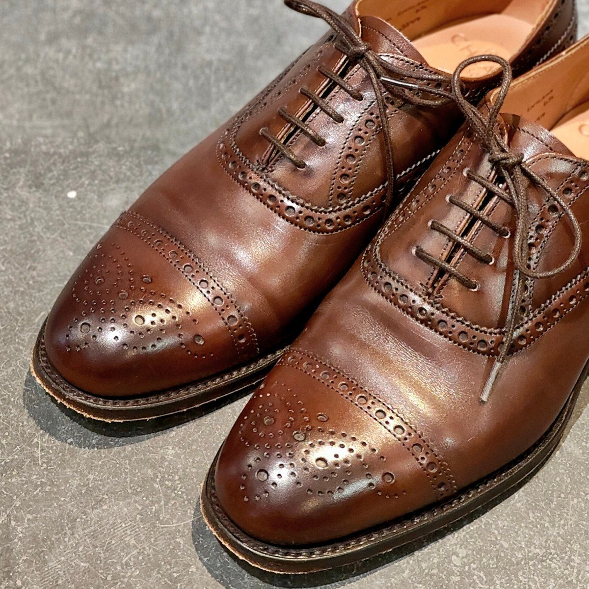 JOSEPH CHEANEY】ジョセフチーニー ウィルフレッド セミブローグ