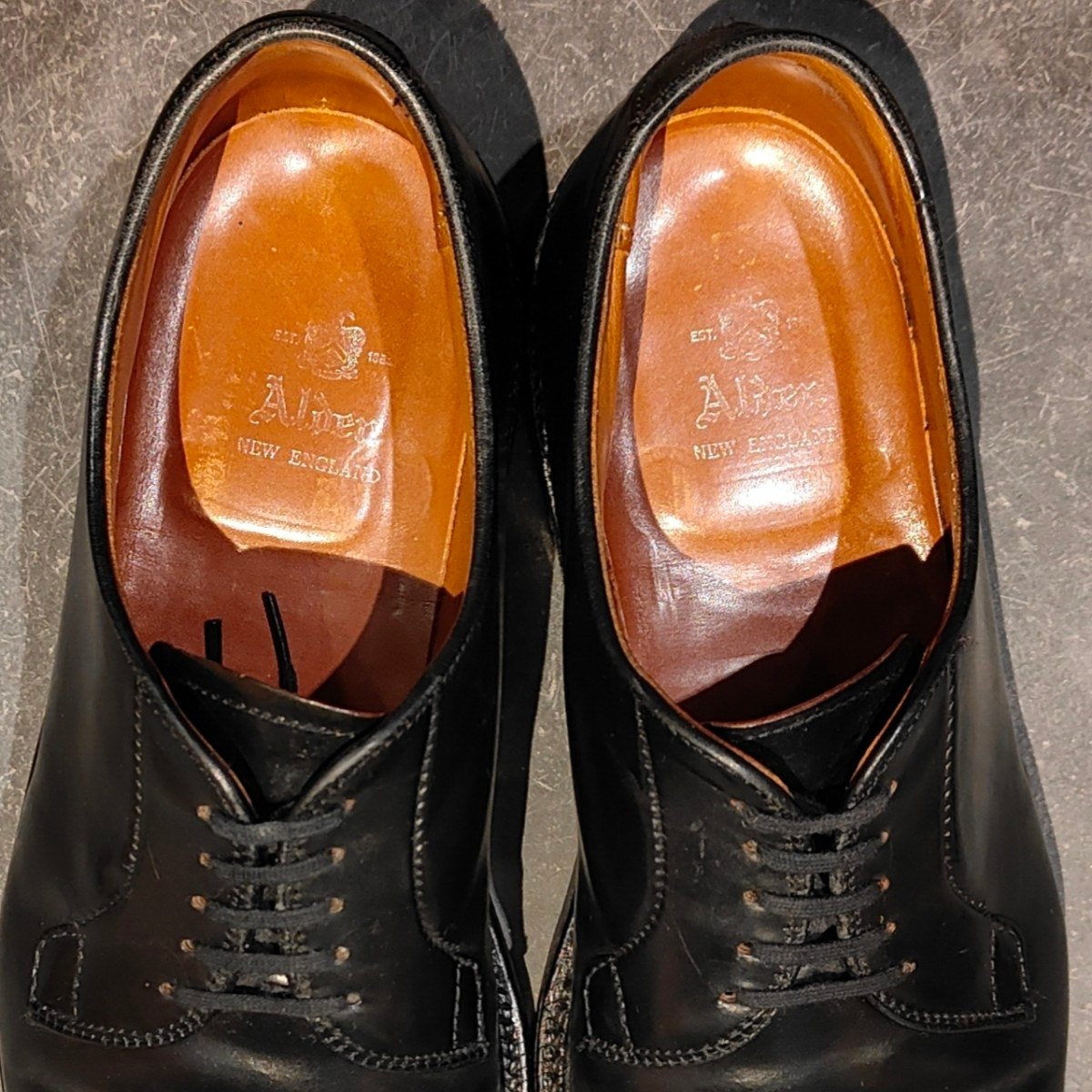 美品【ALDEN】オールデン 9901 プレーントゥ コードバン ブラック サイズ US8.5D バリーラスト 参考定価￥220,000-