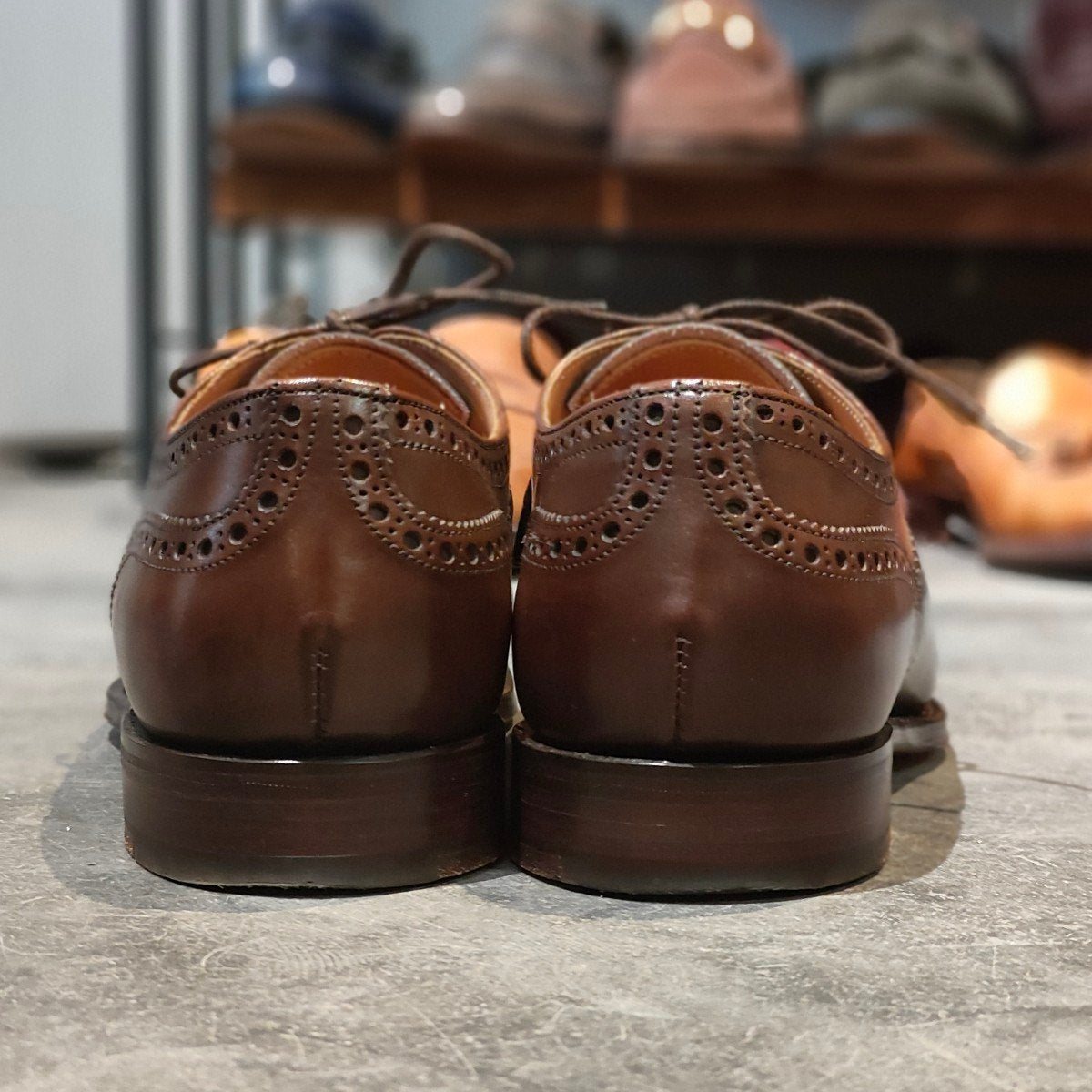 JOSEPH CHEANEY】ジョセフチーニー ウィルフレッド セミブローグ