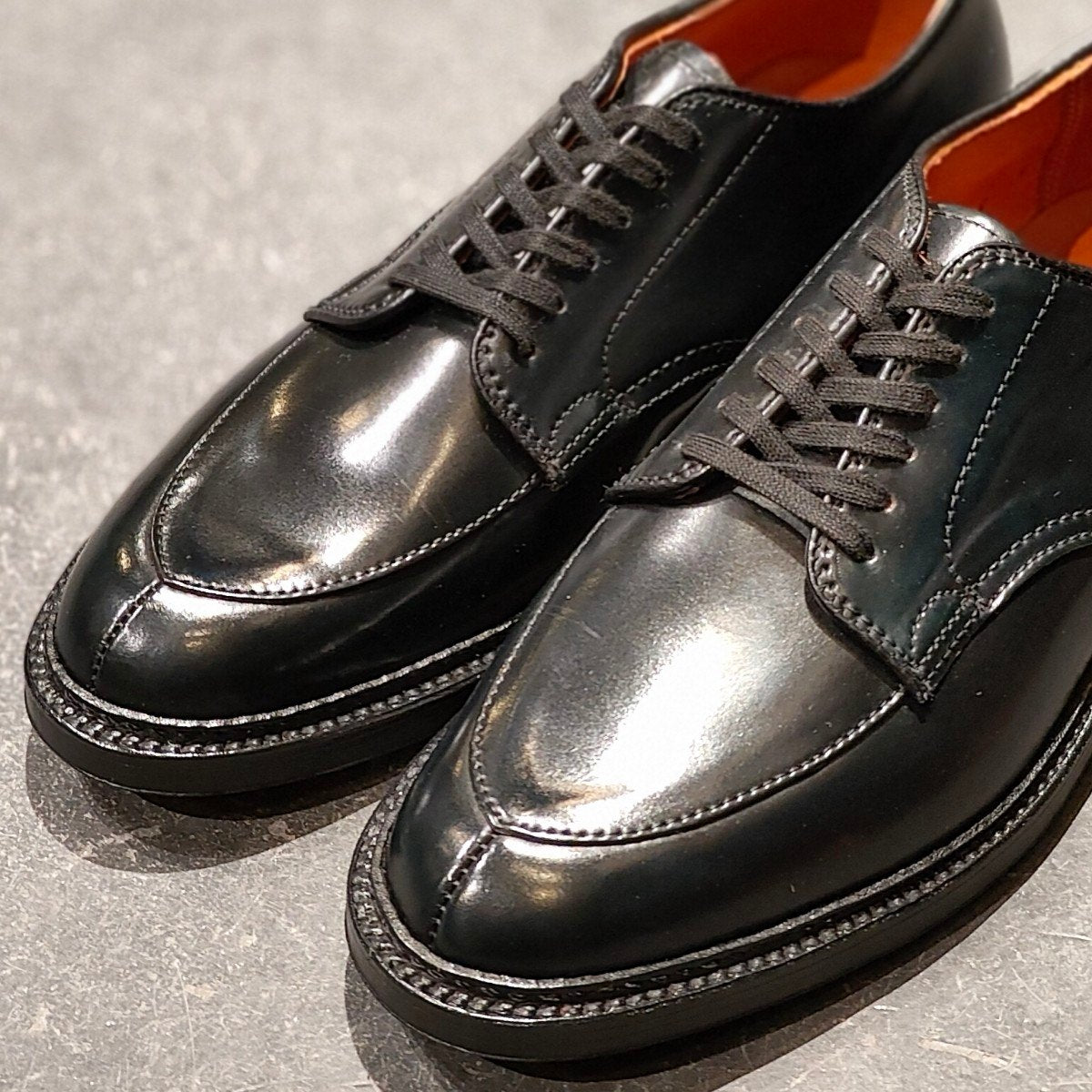 希少 新品未使用【ALDEN】オールデン ワイルドライフテーラー