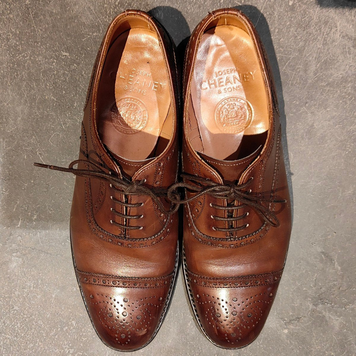 JOSEPH CHEANEY】ジョセフチーニー ウィルフレッド セミブローグ