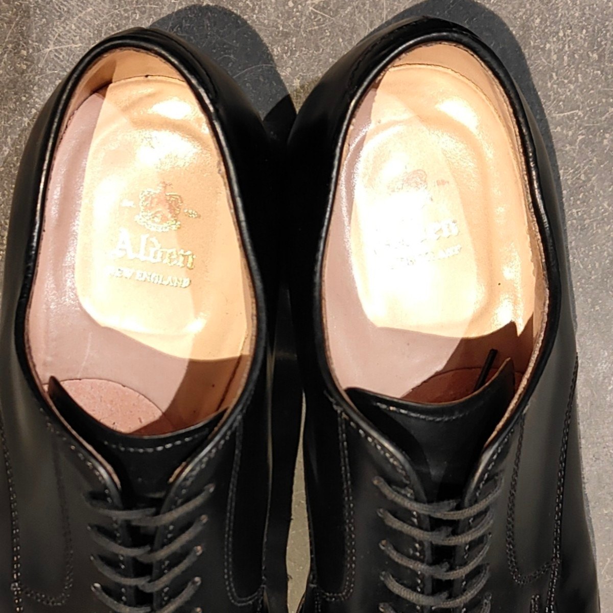 使用数回【ALDEN】オールデン 56251 パンチドキャップトゥ コードバン ブラック US8.5D モディファイドラスト 参考定価￥220,000-