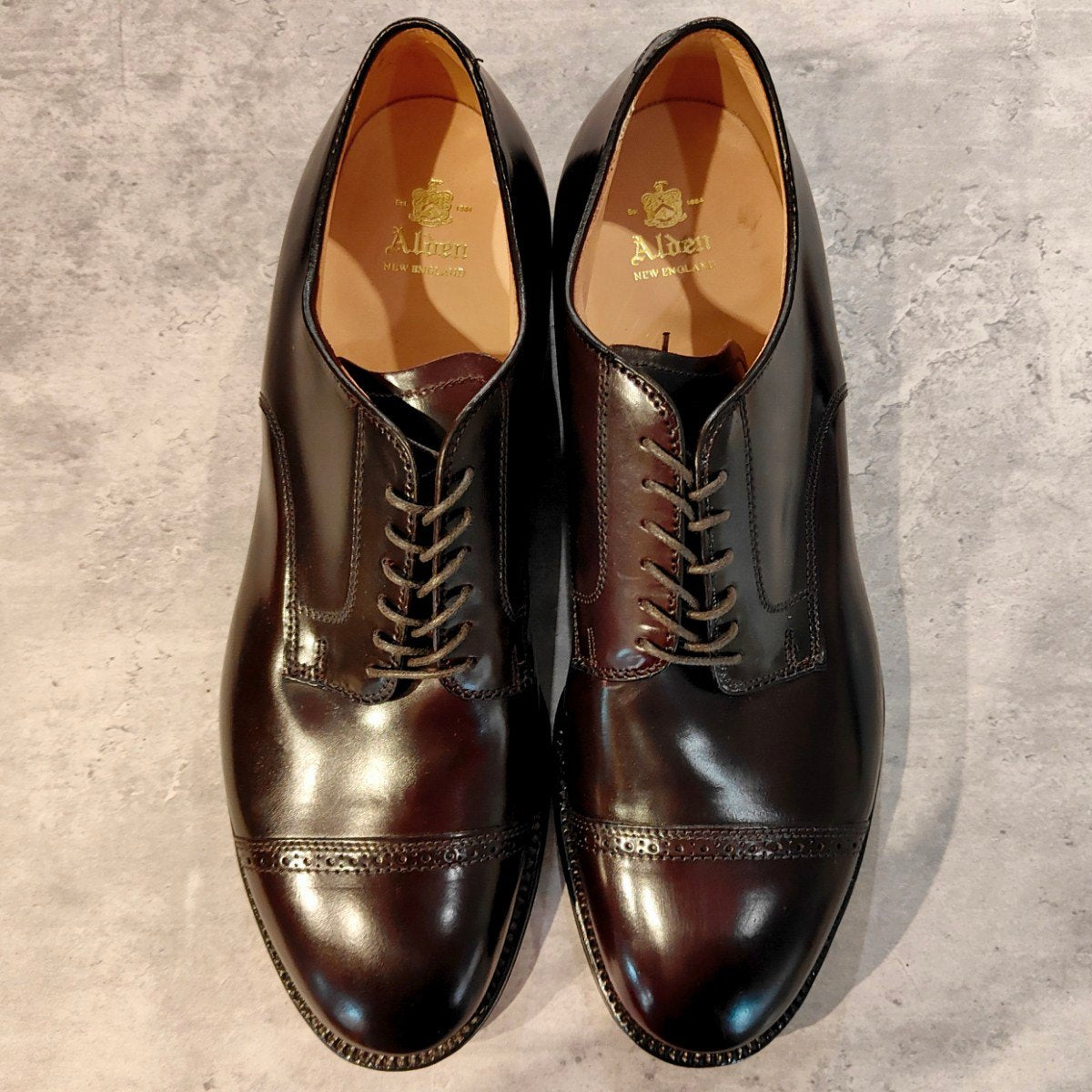 未使用 【ALDEN】オールデン 56201 リジェクト品 パンチドキャップトゥ コードバン ダークバーガンディ サイズ US11D モディファイドラスト 参考定価￥236,500-