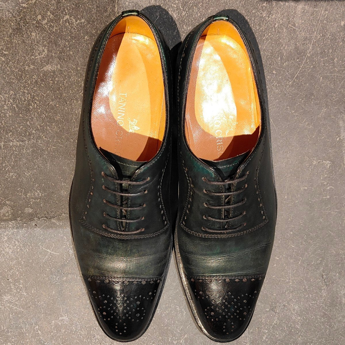 希少 美品 【TANINO CRISCI】タニノクリスチー セミブローグ カーフ