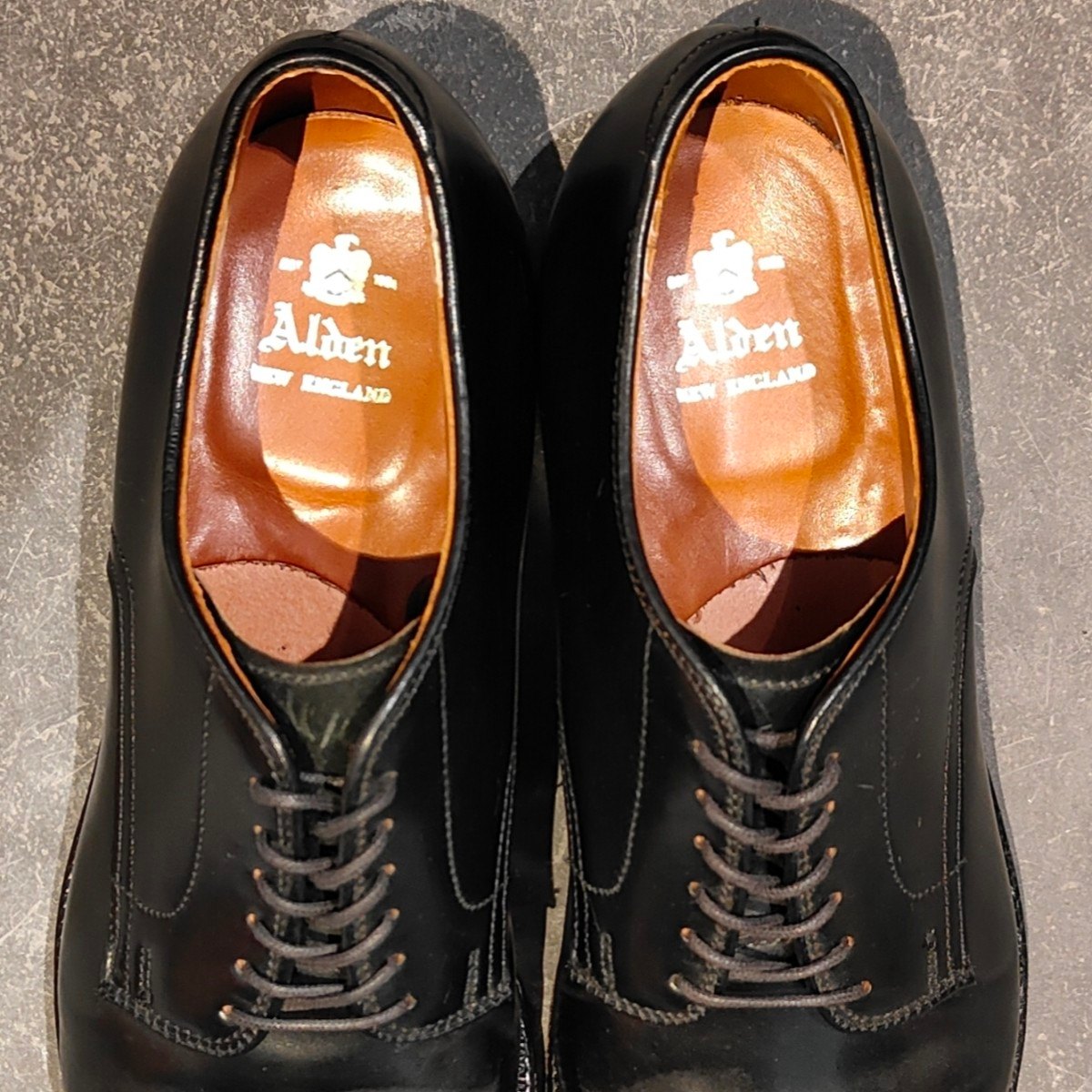 使用数回【ALDEN】オールデン 53511 プレーントゥ コードバン ブラック US7D モディファイドラスト 参考定価￥217,800-