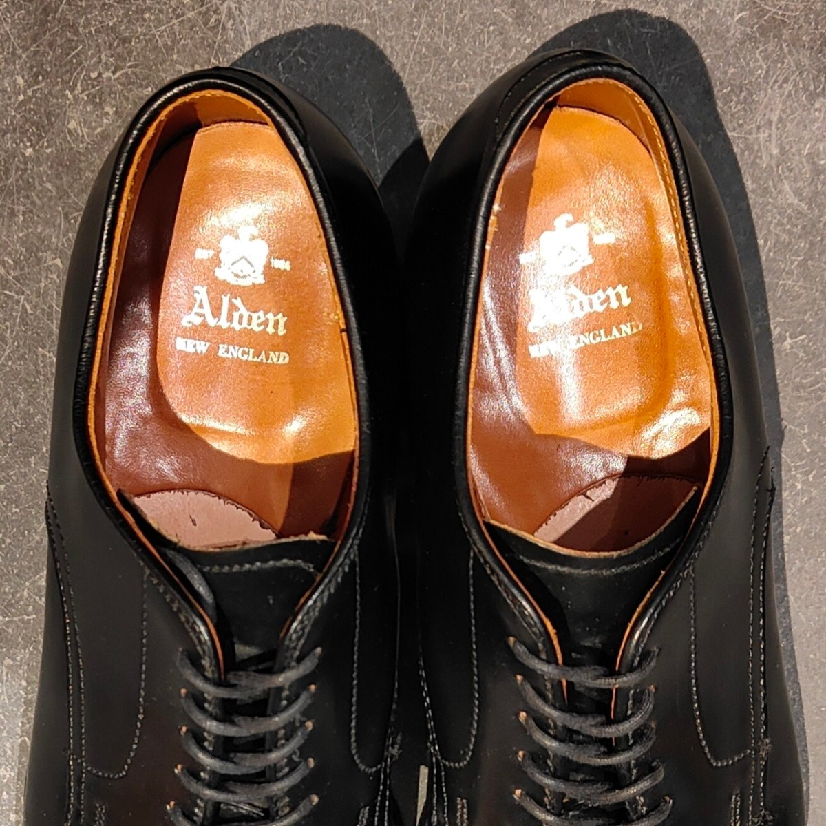 使用数回【ALDEN】オールデン 53511 プレーントゥ コードバン ブラック US7.5D モディファイドラスト 参考定価￥217,800-