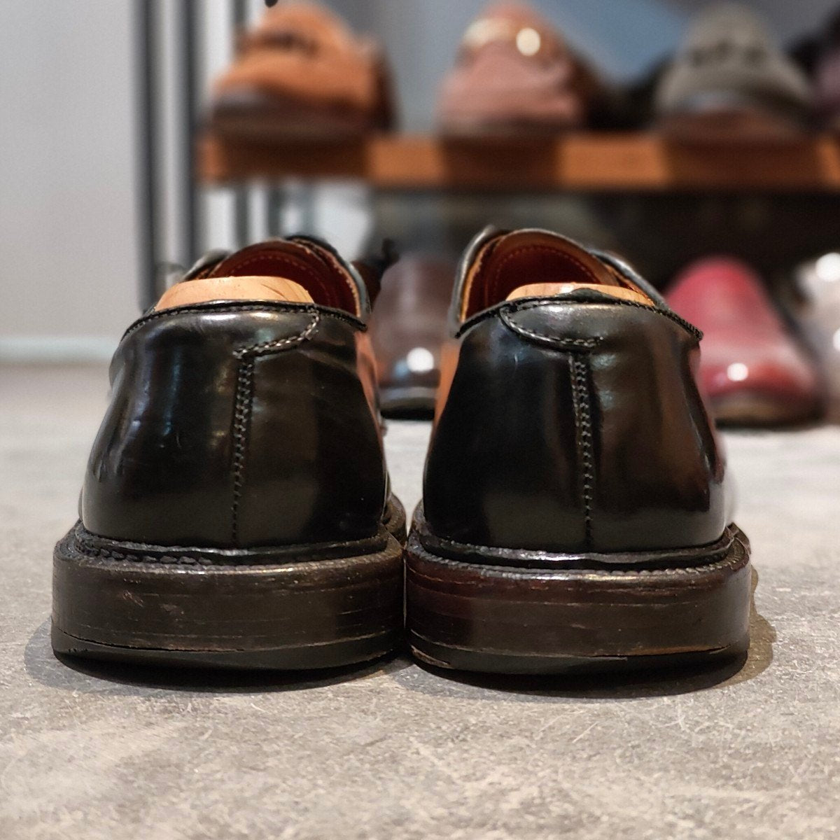 【ALDEN】オールデン 9901 プレーントゥ コードバン ブラック サイズ US7.5D バリーラスト 参考定価￥220,000-