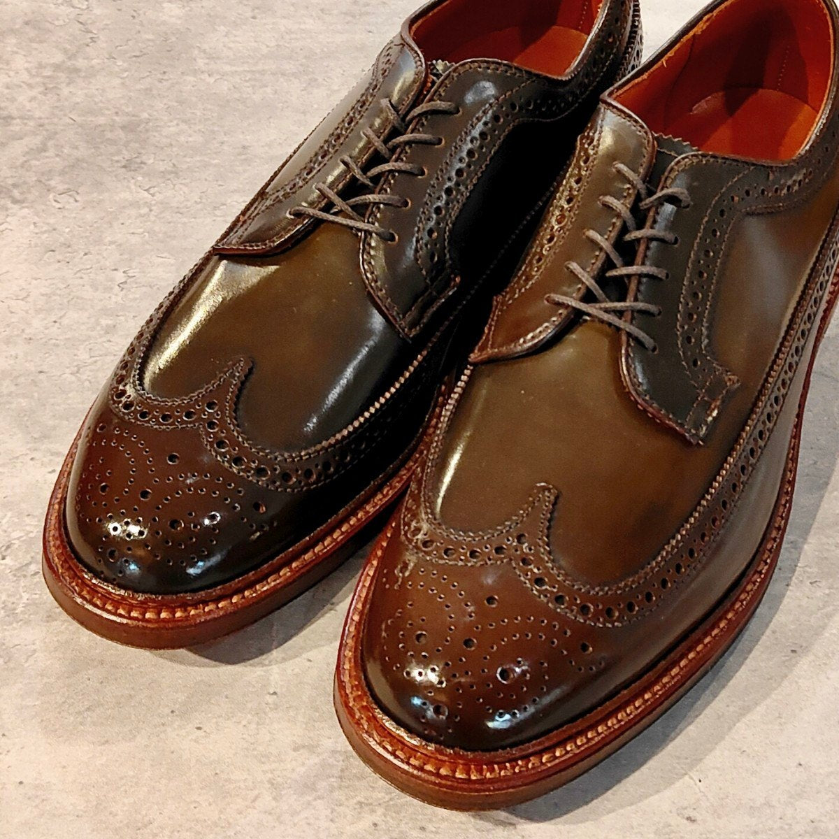 希少 未使用 【ALDEN】オールデン 97894 LWB コードバン シガー サイズ US10.5D バリーラスト
