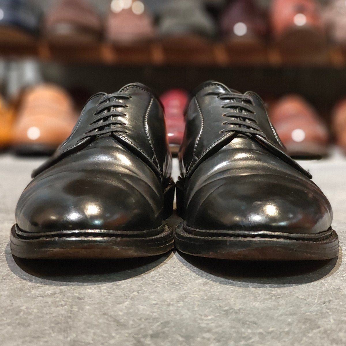 美品【ALDEN】オールデン 9901 プレーントゥ コードバン ブラック サイズ US8.5D バリーラスト 参考定価￥220,000-