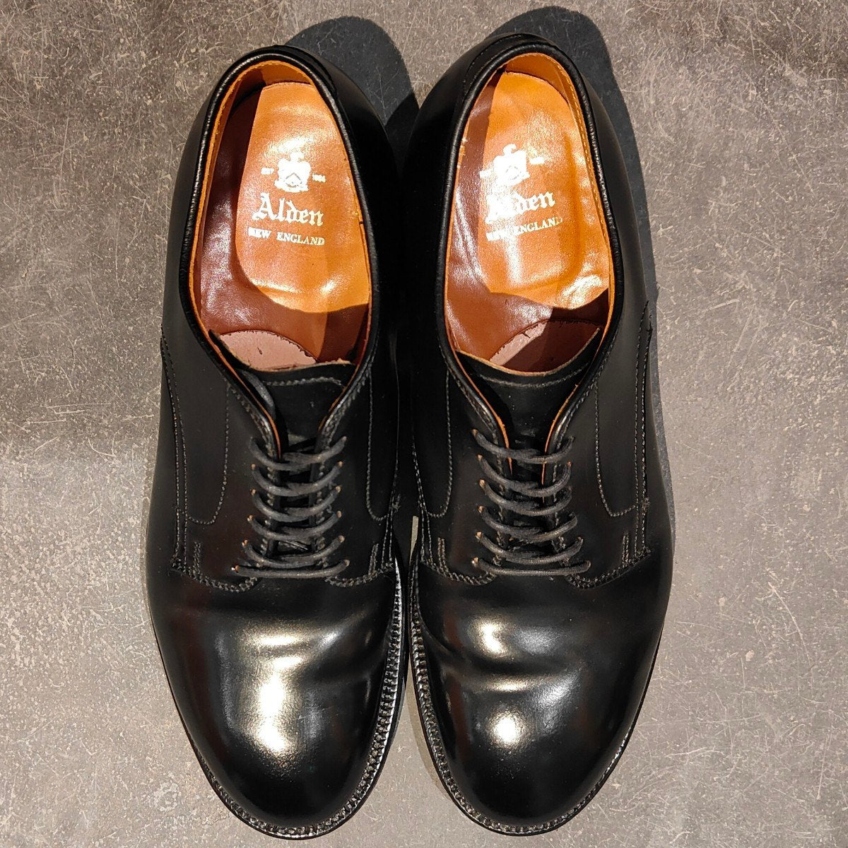 使用数回【ALDEN】オールデン 53511 プレーントゥ コードバン ブラック US7.5D モディファイドラスト 参考定価￥217,800-