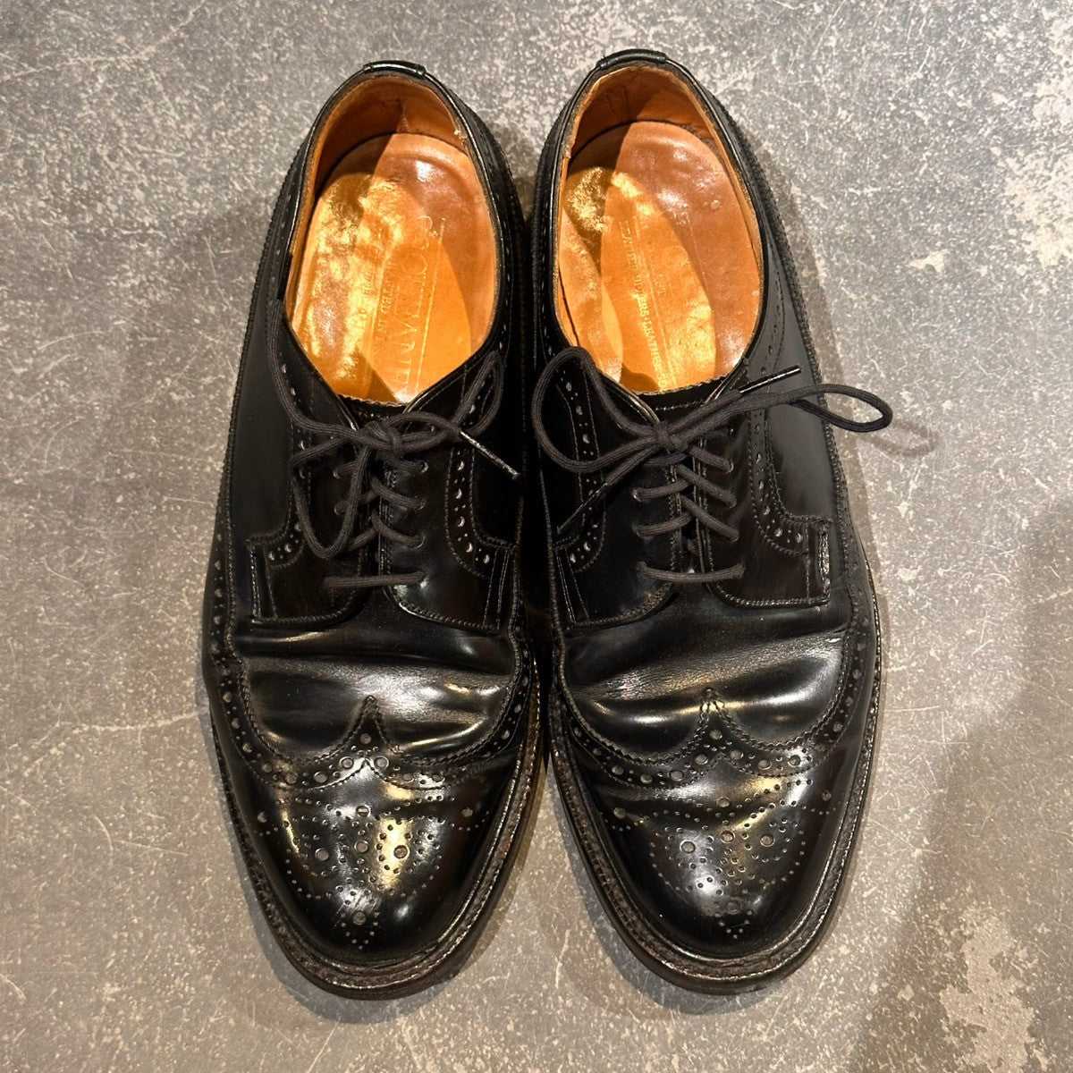 JOSEPH CHEANEY】ジョセフチーニー ユーストン ウイングチップ ガラス