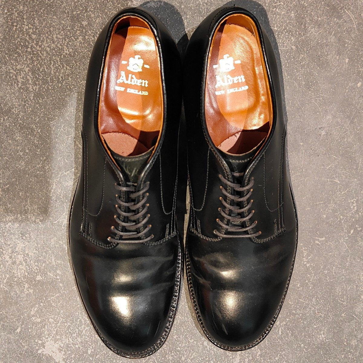 使用数回【ALDEN】オールデン 53511 プレーントゥ コードバン ブラック US7D モディファイドラスト 参考定価￥217,800-