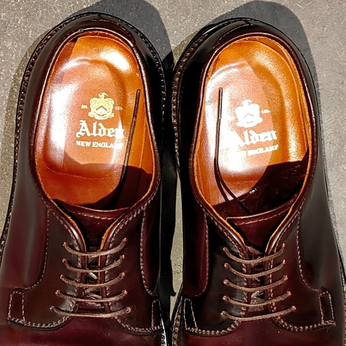 極美品【ALDEN】オールデン 990 プレーントゥ コードバン ダーク