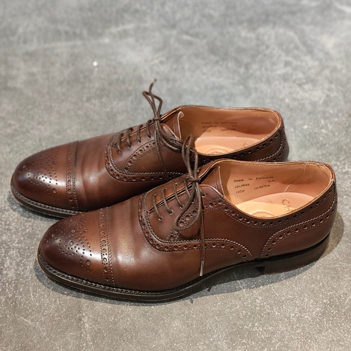 JOSEPH CHEANEY】ジョセフチーニー ウィルフレッド セミブローグ