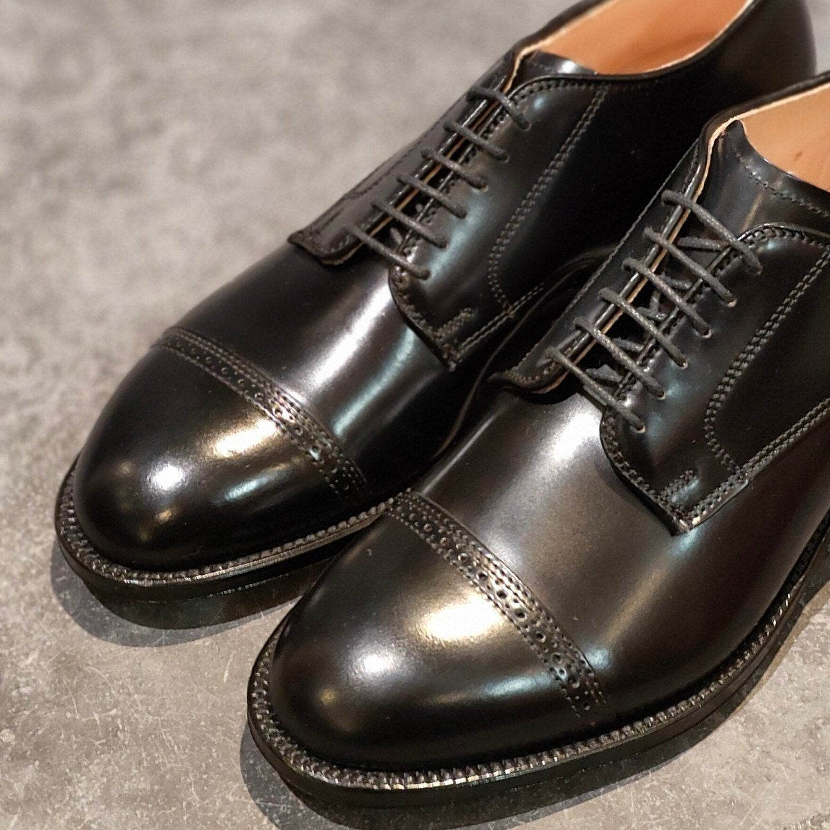 新品未使用【ALDEN】オールデン 56251 パンチドキャップトゥ コードバン ブラック US7.5D モディファイドラスト 参考定価￥220,000-