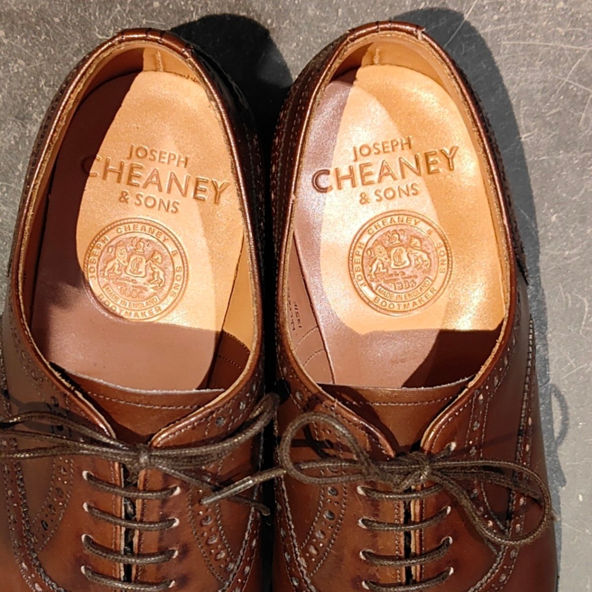 JOSEPH CHEANEY】ジョセフチーニー ウィルフレッド セミブローグ