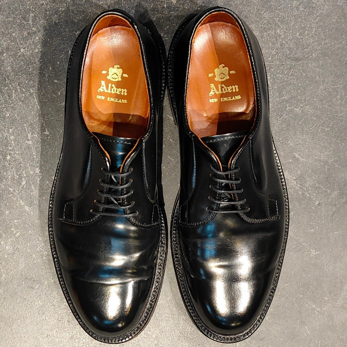 使用数回【ALDEN】オールデン 9901 プレーントゥ コードバン ブラック サイズ US7E バリーラスト 参考定価￥220,000-