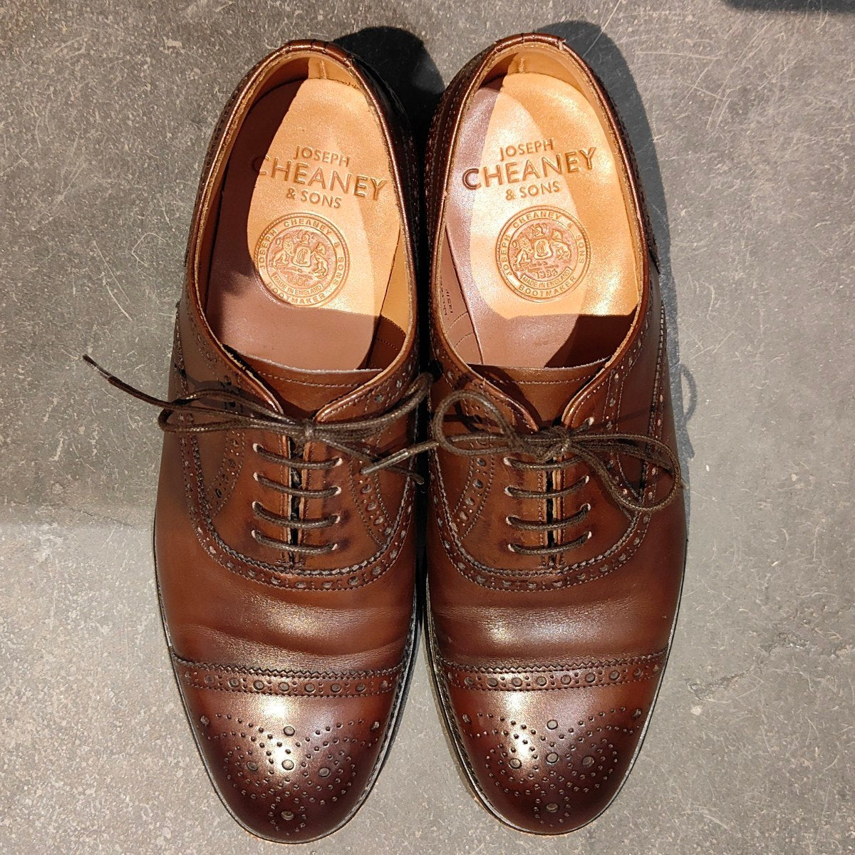 JOSEPH CHEANEY】ジョセフチーニー ウィルフレッド セミブローグ