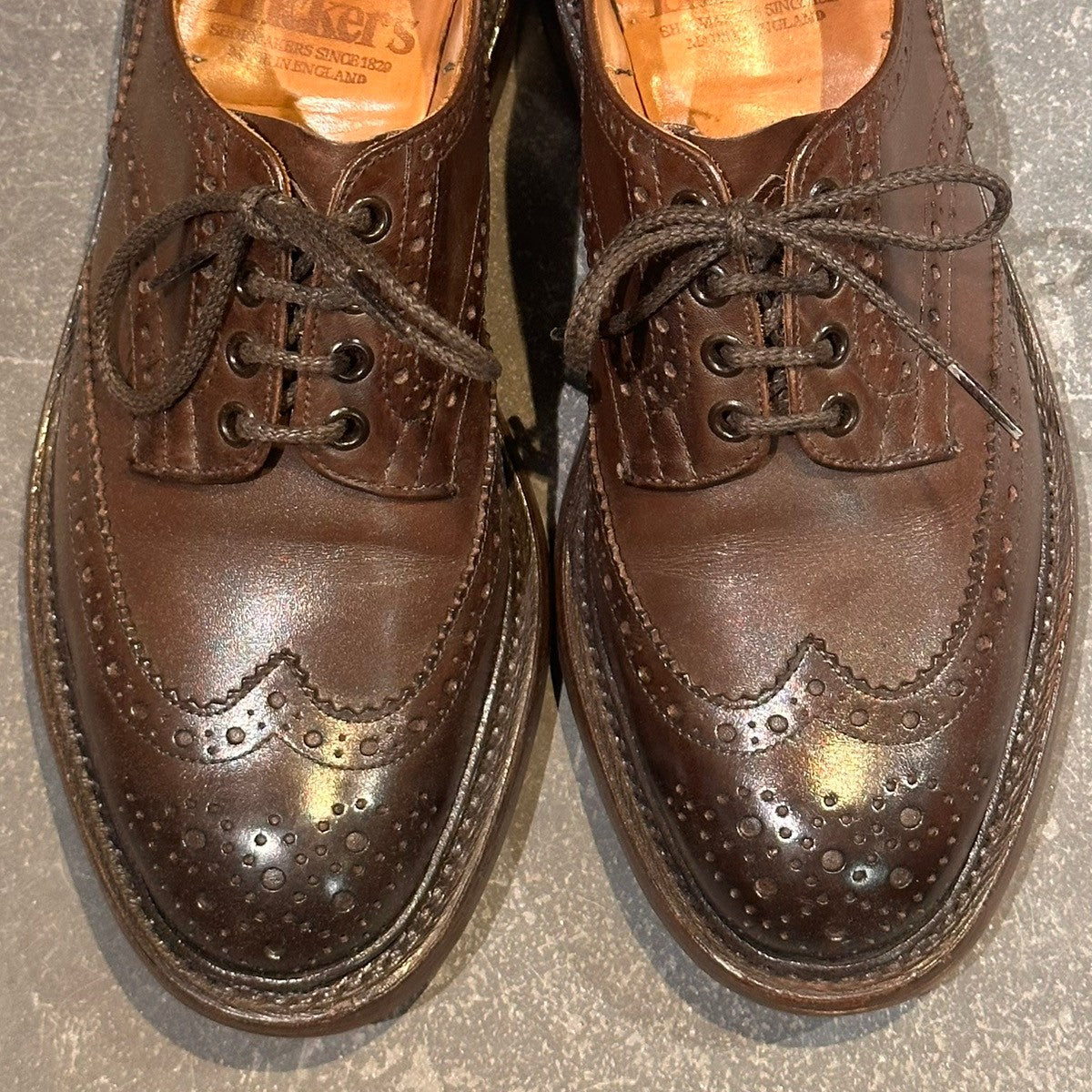 【Tricker's】トリッカーズ バートン ウィングチップ カーフ エスプレッソバーニッシュ サイズUK7.5