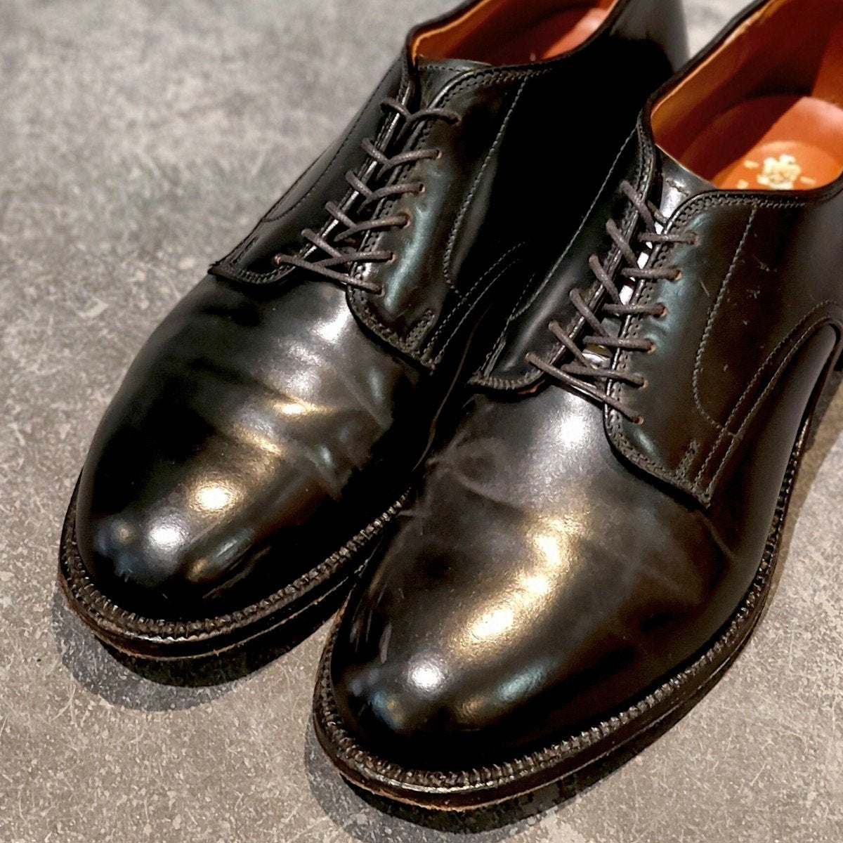使用数回【ALDEN】オールデン 53511 プレーントゥ コードバン ブラック US7D モディファイドラスト 参考定価￥217,800-