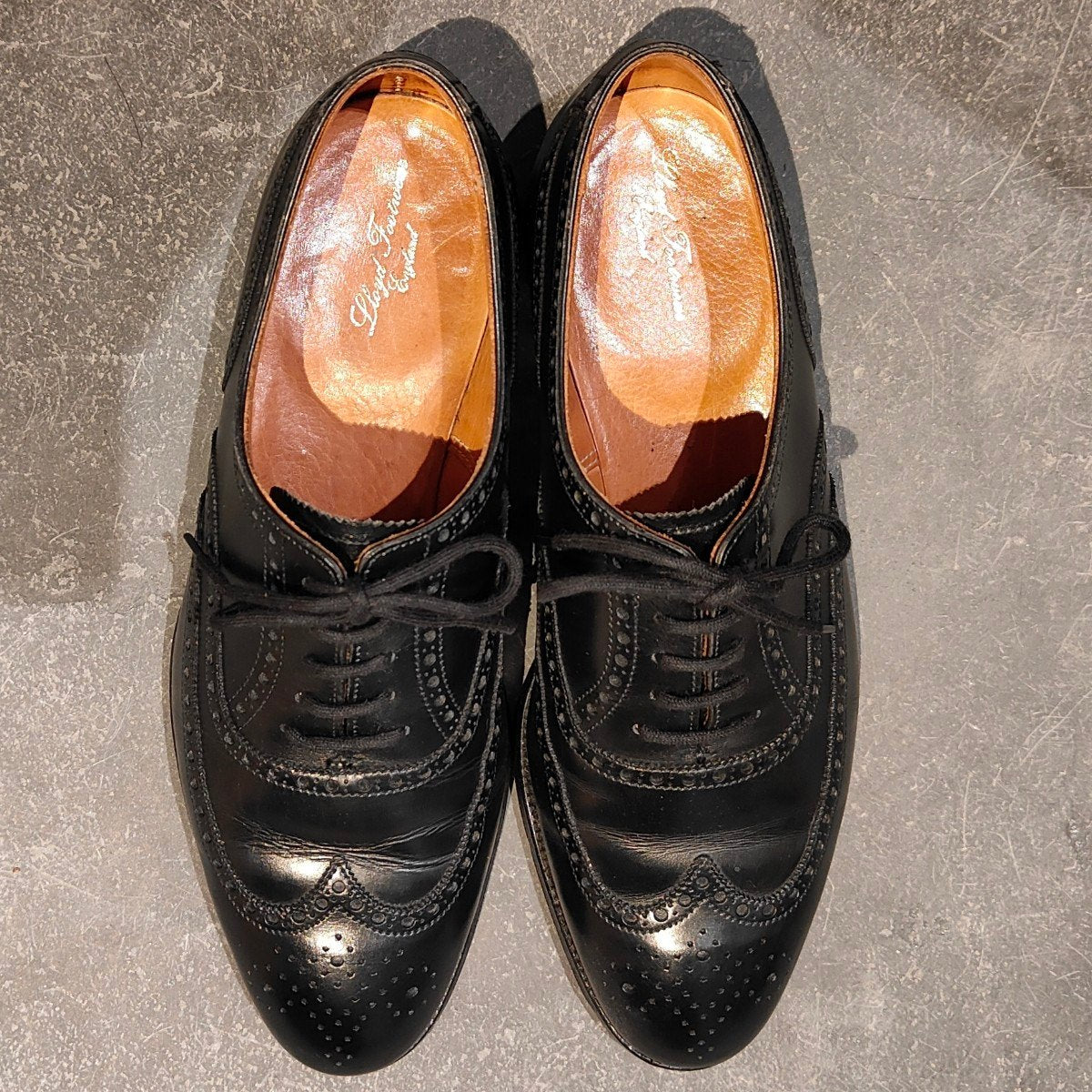 Lloyd Footwear】ロイドフットウェア downing ウイングチップ カーフ