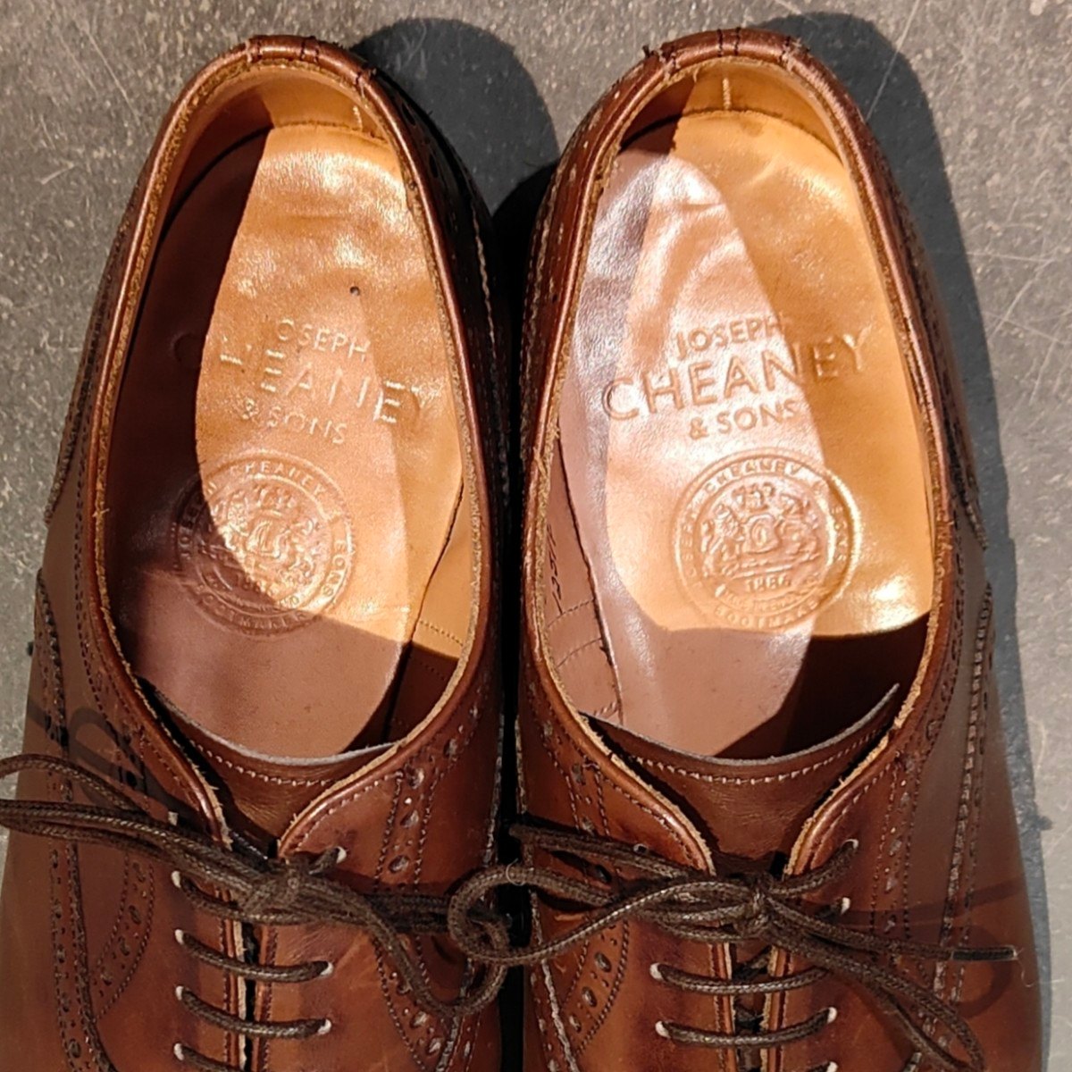 JOSEPH CHEANEY】ジョセフチーニー ウィルフレッド セミブローグ