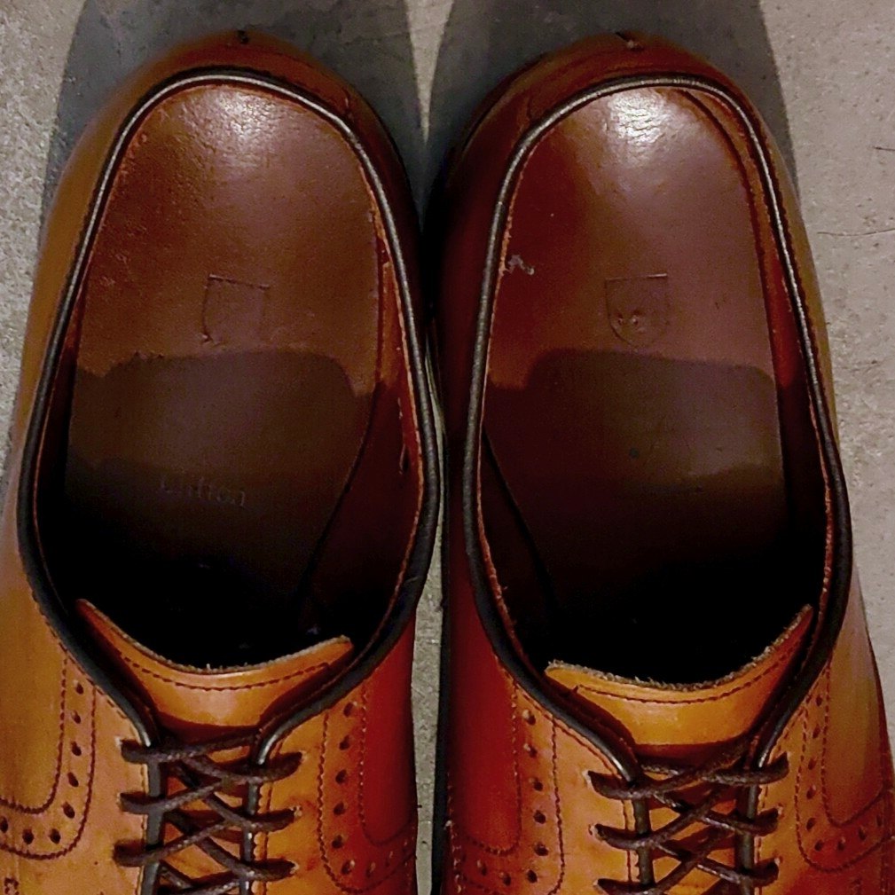 【US8.0D】アレンエドモンズ フィフスアベニュー チリ Allen Edomons】アレンエドモンズ D3358 パンチドキャップトゥ 外羽根