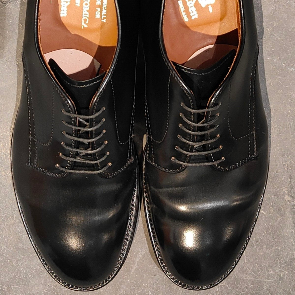 使用数回【ALDEN】オールデン アナトミカ別注  56919 プレーントゥ コードバン ブラック サイズUS9.5E モディファイドラスト