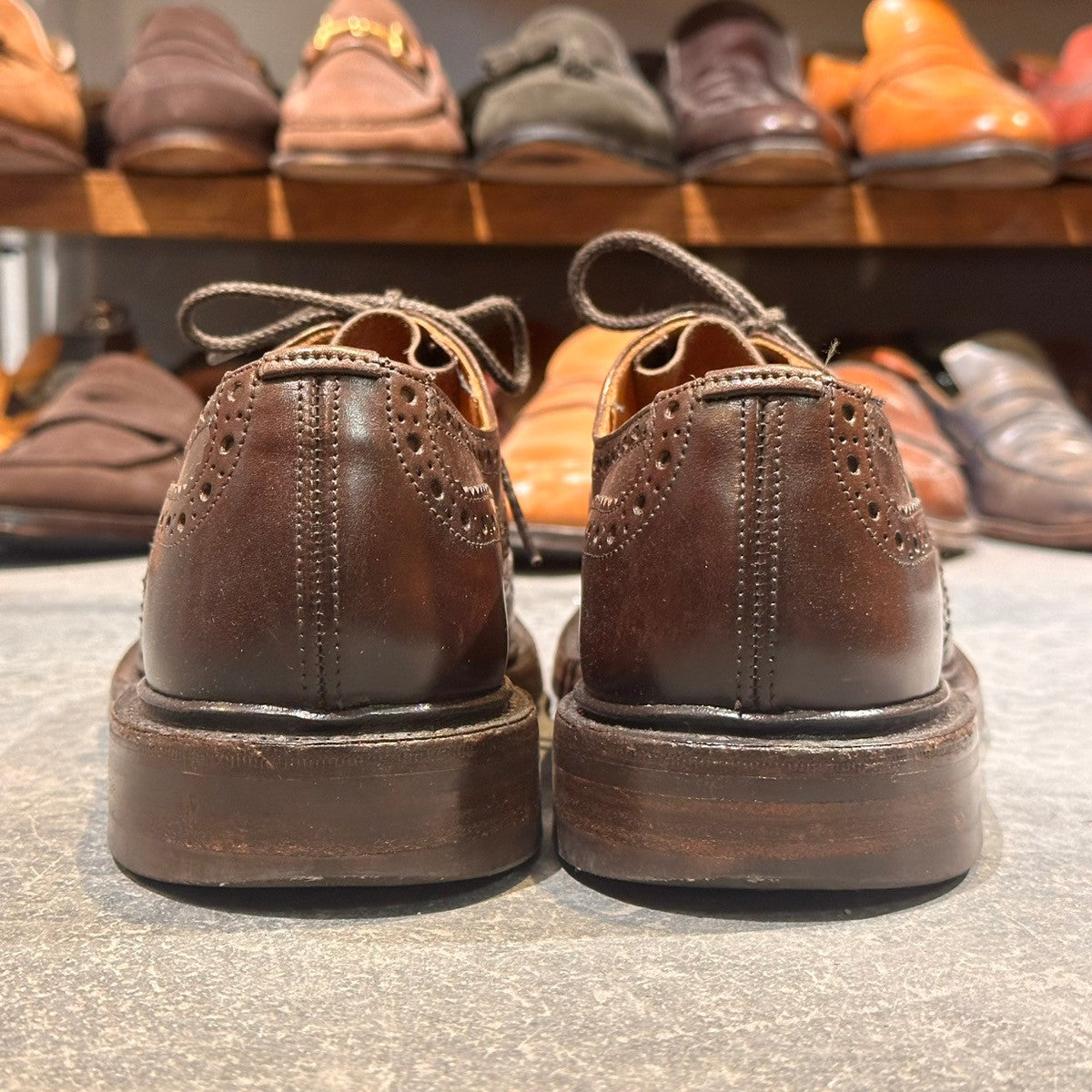 Tricker's】トリッカーズ バートン ウィングチップ カーフ